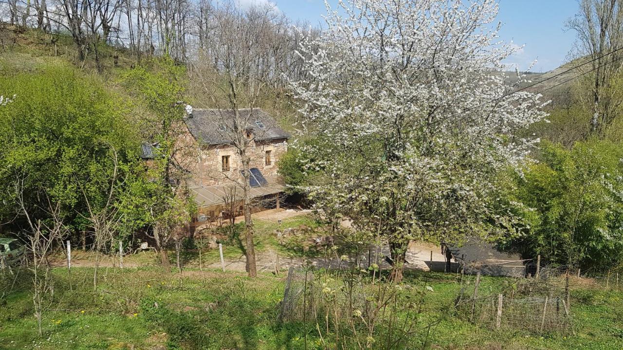 Maison Isolee Dans Les Vignes Et Les Bois Valady Zewnętrze zdjęcie